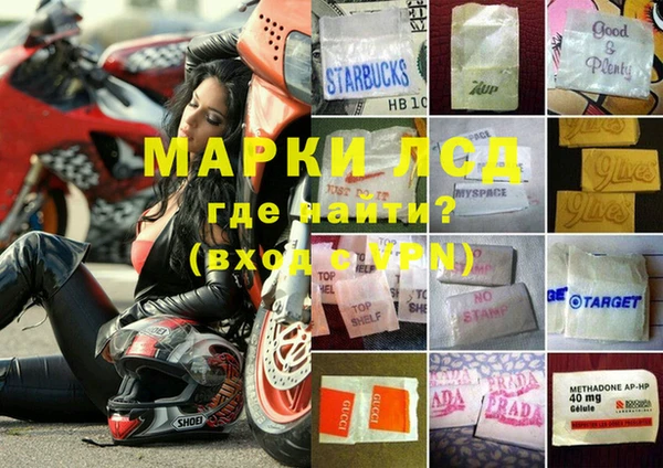 ПСИЛОЦИБИНОВЫЕ ГРИБЫ Алексин