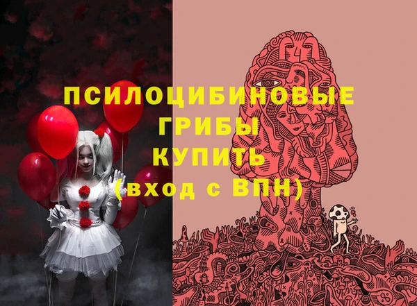 гашик Алексеевка