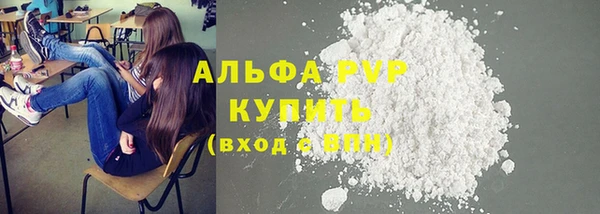 гашик Алзамай