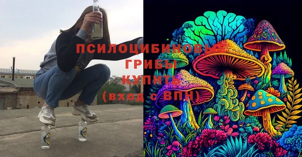 гашик Алзамай